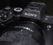 Image result for Sony Alpha III 7 Night Photo