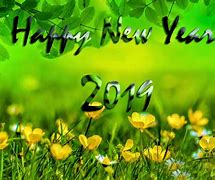 Image result for Happy New Year 2019 Meme