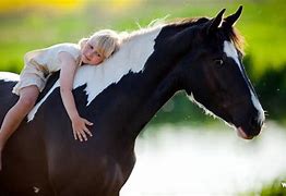 Image result for Babies Cute Horse Backgrounds