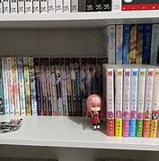 Image result for Manga Shelf Organizer Box Set