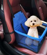 Image result for Lock in Car Pet Carriers