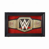 Image result for WWE Cases