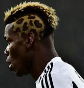 Image result for Pogba Cheetah Haircut