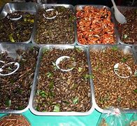 Image result for Thai Crickets Food