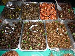 Image result for Fried Crickets Thailand