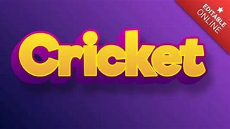 Image result for Cricket Text