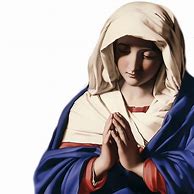 Image result for Virgin Mary Catholic Icon