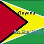 Image result for Guyana Flag Meaning