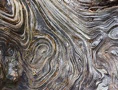 Image result for Texture Natural Nature Photography