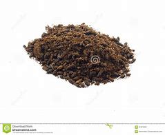 Image result for Bat Guano White Background