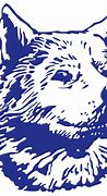 Image result for Washington Huskies Old Logo