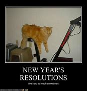 Image result for My New Years Resolution Funny