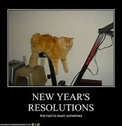 Image result for Funny Pictures of New Year Resolutions