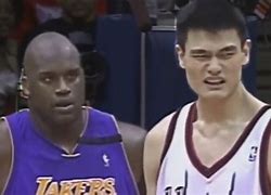 Image result for Yao Ming Block