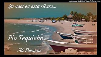Image result for tequiche
