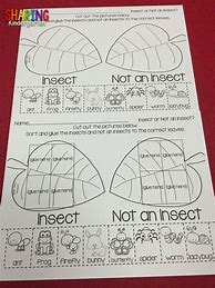 Image result for Insect Lessons Preschool