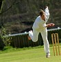 Image result for Cricket Wicket with Bails and Stumps