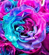 Image result for Pics of Pink Rose Bouquets