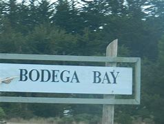 Image result for 537 State 1, Bodega Bay, CA 94923 United States