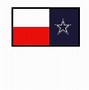 Image result for Wavy Texas Flag