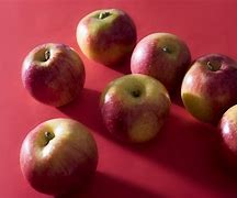 Image result for 17 Apple's