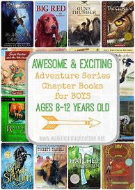 Image result for Adventure Chapter Books
