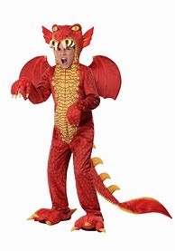 Image result for Dragon Costume