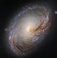 Image result for Messier 6.3 Galaxy