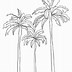 Image result for Palm Tree Line Art