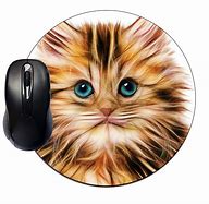 Image result for Cat Mouse Mat