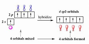 Image result for SP2 vs SP3 Oxygen