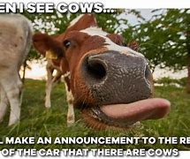 Image result for Welp Cowfolk Meme