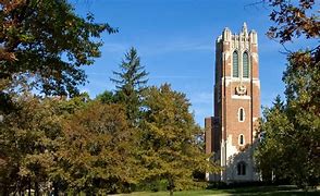 Image result for MSU College