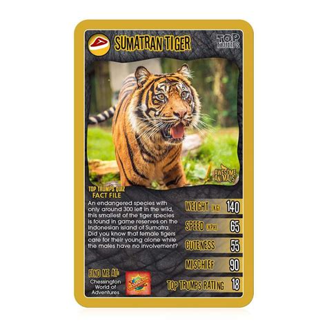 Image result for Credict Card Dection Stopped by Using Python