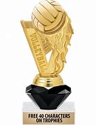 Image result for Volleyball Team Trophy