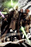 Image result for Star Wars Twin Jedi Masters