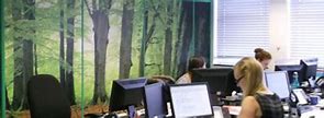 Image result for Wallpaper Green Office