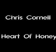 Image result for Chris Cornell Heart of Honey