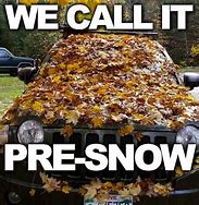 Image result for Fall Weather Meme
