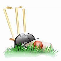 Image result for Cricket Bat ClipArt PNG