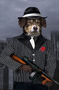 Image result for Mafia Dog Meme