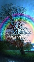 Image result for A Rainbow iPhone Piocs