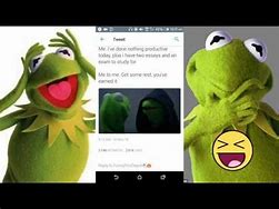 Image result for Dead Kermit the Frog Memes