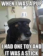 Image result for Dogs in Charge Meme