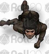 Image result for Roll 20 Human Token