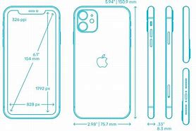 Image result for iPhone 11 Full Dimensions