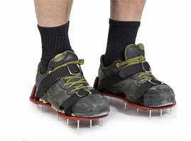 Image result for Spike Shoes