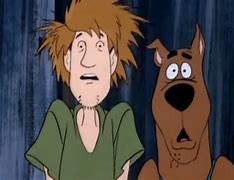 Image result for Scooby Doo and Shaggy High