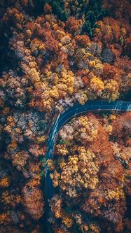 Image result for Nature Wallpaper Aerial iPhone