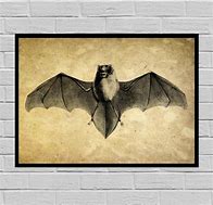 Image result for Vintage Bat Print